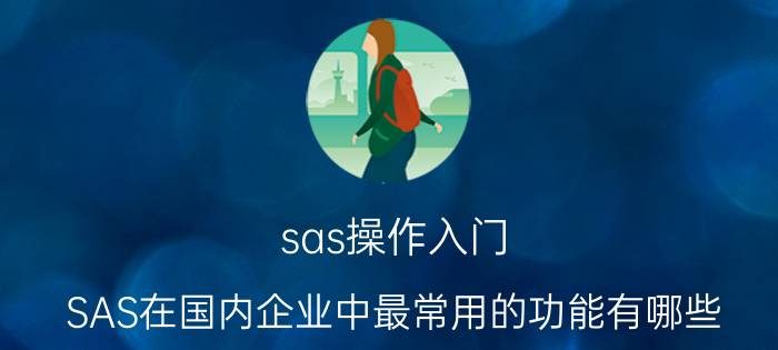 sas操作入门 SAS在国内企业中最常用的功能有哪些？